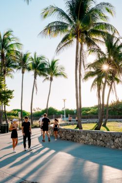 A sunny beachside path with tall palm trees casting long shadows as people stroll along a stone wall near the water, enjoying the warm breeze.