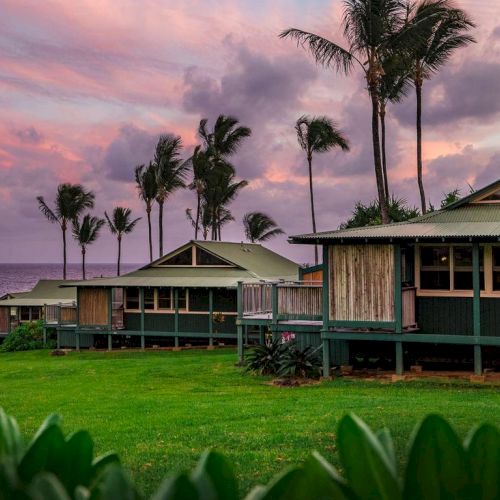Cozy bungalow-style cottages along a grassy coastline with palm trees, facing a pink sunset over the sea, tropical and tranquil.