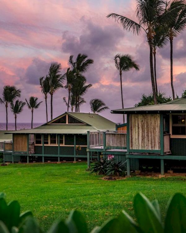Cozy bungalow-style cottages along a grassy coastline with palm trees, facing a pink sunset over the sea, tropical and tranquil.