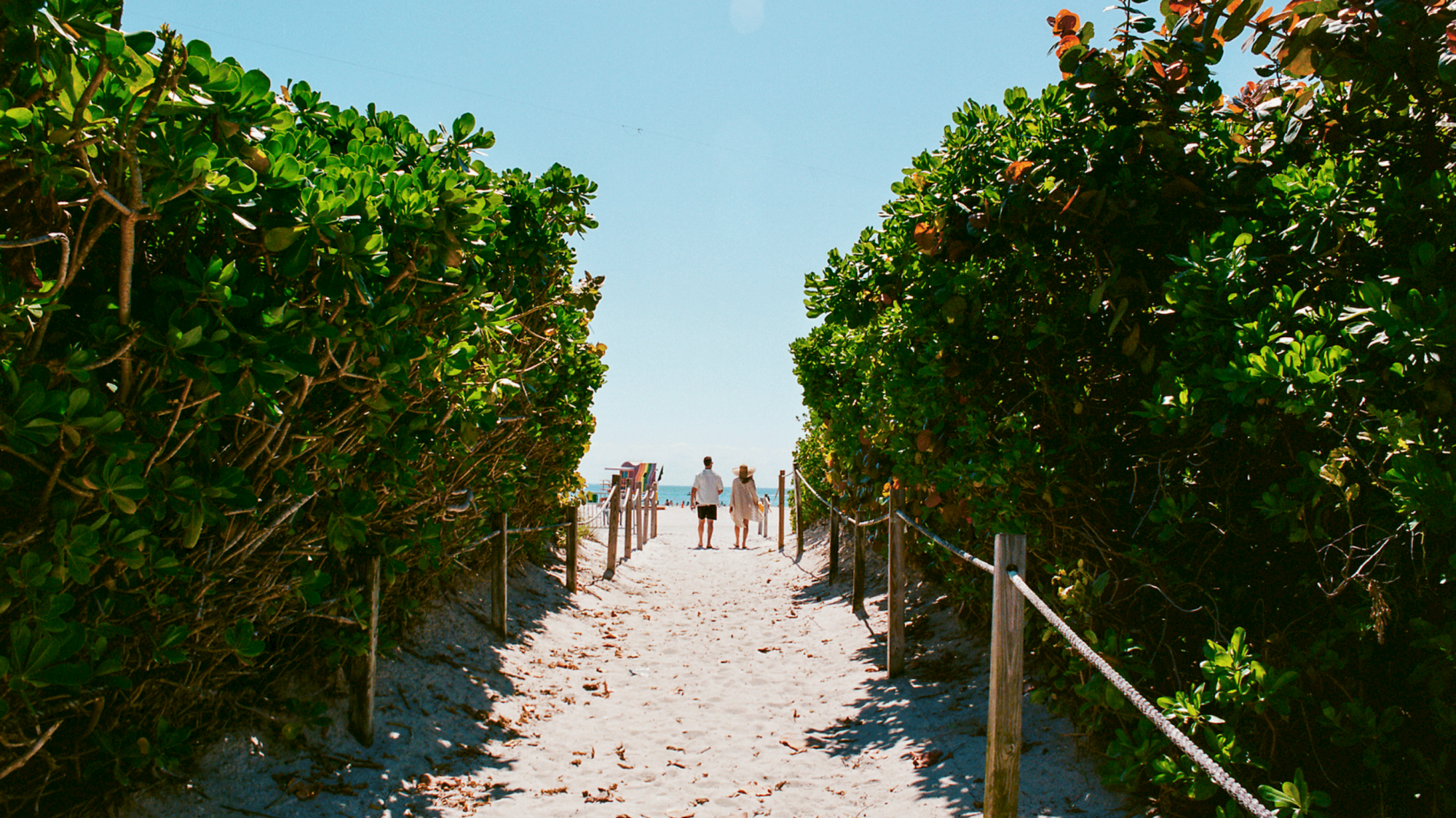 A sandy path between green shrubs leads to the beach, with a few people in the distance and a bright blue sky above.