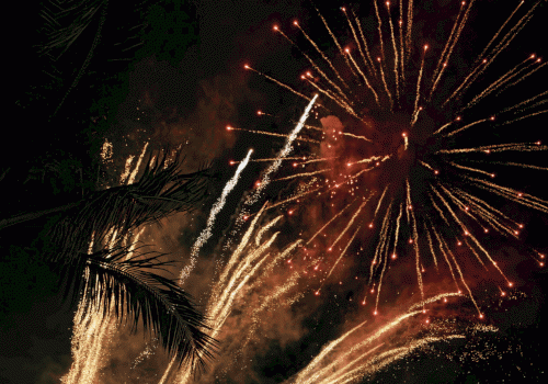 Fireworks bursting in the night sky with bright trails and palm fronds silhouetted, celebrating a festive outdoor moment.