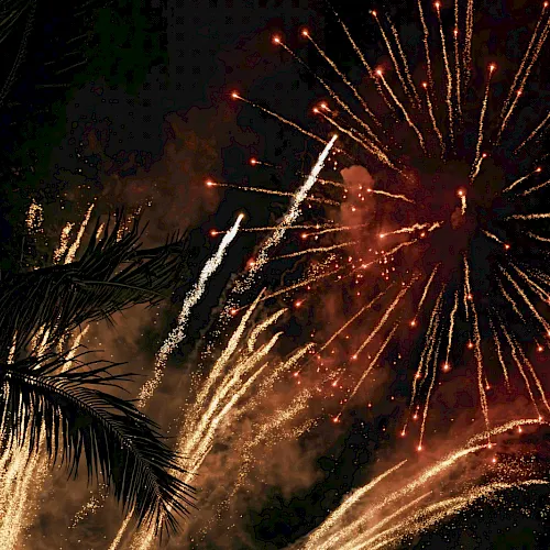Fireworks bursting in the night sky with bright trails and palm fronds silhouetted, celebrating a festive outdoor moment.