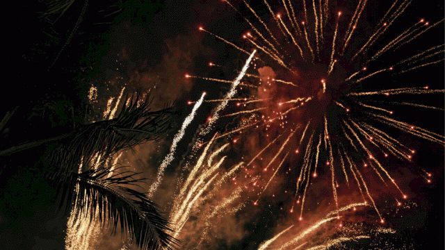 Fireworks bursting in the night sky with bright trails and palm fronds silhouetted, celebrating a festive outdoor moment.