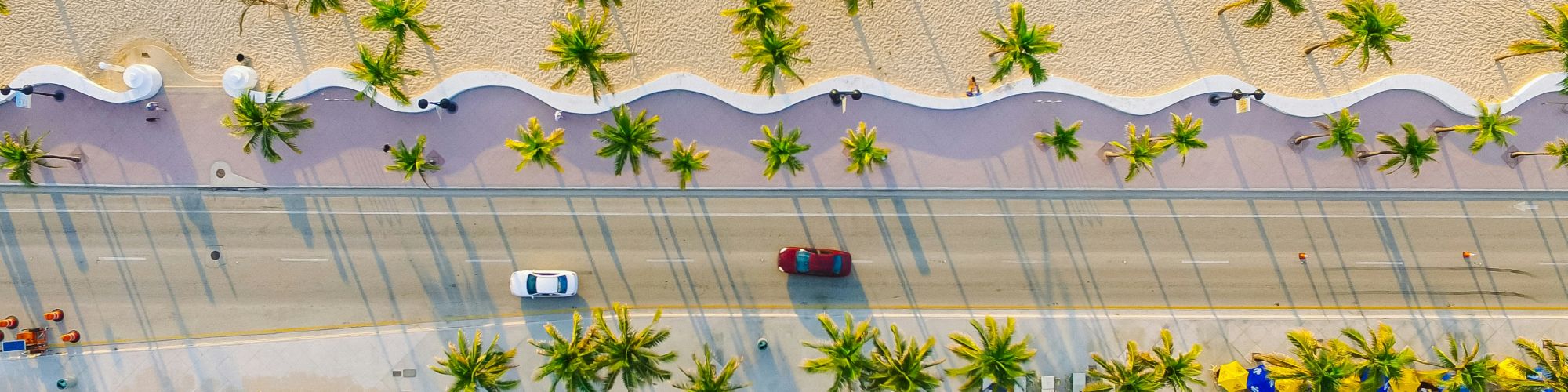 Aerial view of a resort pool lined with palm trees, a parking area, and cars, bathed in sunlight.